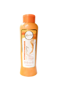 Load image into Gallery viewer, Anyeluz Ginseng Conditioner
