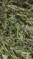Load and play video in Gallery viewer, Milagros Herbal Shampoo