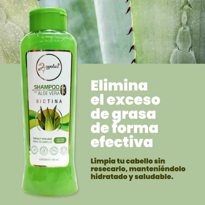 Shampoo Aloe Anyeluz