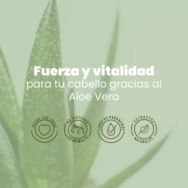 Shampoo Aloe Anyeluz