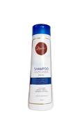 Load image into Gallery viewer, Anyeluz Shampoo Anticaspa Anyeluz
